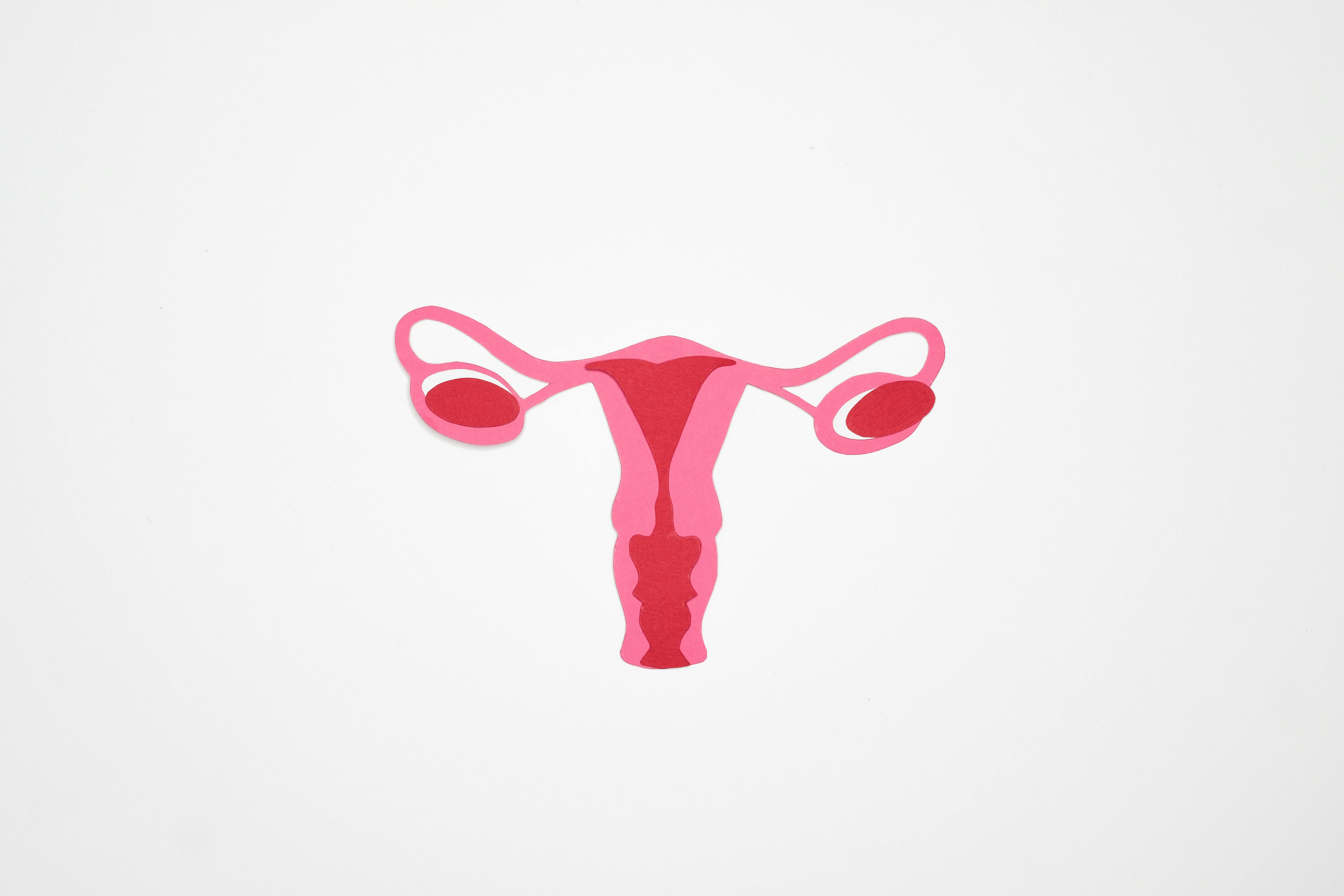 Pelvic Inflammatory Disease